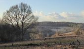 Trail On foot Mole Valley - The Box Hill Hike - Photo 1