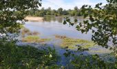 Randonnée Marche Bonny-sur-Loire - Bonny sur Loire - Photo 1