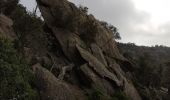 Trail Walking Bormes-les-Mimosas - les 3 cols Bormes les Mimosas  - Photo 5