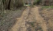 Trail Walking Ansignan - ansignan - Photo 2