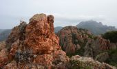 Trail Walking Saint-Raphaël - Agay - Rastel d'Agay - Drapeau - Pic du Cap Roux - Photo 4