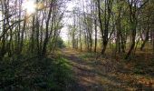 Excursión Senderismo Vieux-Moulin - en forêt de Compiègne_26_la Grotte des Ramoneurs_Tournantes de la Queue de Saint-Etienne et sur la Côte de Roilaye - Photo 15