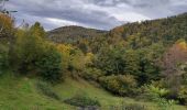 Excursión Senderismo Willer-sur-Thur - Willer sur Th Ostein - Photo 2