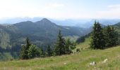 Trail On foot Frasdorf - SalzAlpenTour Chiemsee-Alpenland - Photo 3