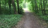 Tocht Stappen Le Touquet-Paris-Plage - Les chênes  - Photo 2