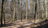 Percorso A piedi Oberursel - Urselbach Mühlenwanderweg - Photo 7