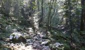Trail Walking Aiguebelette-le-Lac - l'épine d'Aiguelette - Photo 16