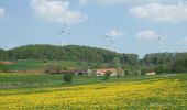 Tour Zu Fuß Heidenheim - Quellenweg (Hahnenkamm) - Photo 9