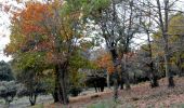 Excursión Senderismo Les Mayons - FFRandonnée-Sur_les_traces_du_decauville - Photo 20