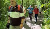 Trail  Yerres - BM boucle 2 rivières - Photo 7