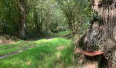 Tocht Stappen Domjean - Rando gorge de la Vire  - Photo 1