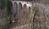 Excursión Senderismo Lavans-lès-Saint-Claude - Viaduc du Tram Lizon - Photo 2