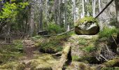 Percorso A piedi Sconosciuto - Trehörningsrundan - Photo 10