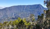 Tour Wandern Entre-Deux - Entre-Deux - Sentier Inard (boucle) - Photo 2