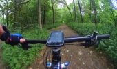 Tocht Mountainbike Charleroi - Nouveaus sur Ransart 40km - Photo 2