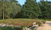 Trail On foot Leudal - Het Leudal - Photo 3