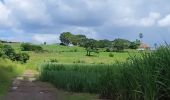 Tour Wandern Les Trois-Îlets - habitation vatable et ses plantations  - Photo 6