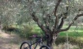 Percorso Mountainbike Mormoiron - MTB Gravel in the Garden ...... - Photo 2