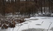 Tocht Stappen Halle - bois de hal- reebokwandeling - Photo 3