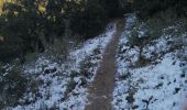 Trail Walking Caromb - caromb grand pacours - Photo 5