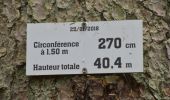 Randonnée Marche Stavelot - 20220711 - Francorchamps 7.1 Km - Photo 12