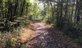 Trail Walking Braine-le-Comte - Hen - Photo 1