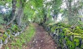Trail Walking Pontgibaud - Pontgibaud_Cheire - Photo 1