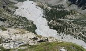 Tocht Stappen Vallouise-Pelvoux - Le Glacier Blanc - Pré Madame Carle - Photo 10