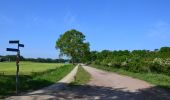 Tocht Te voet Enschede - Wandelnetwerk Twente - oranje route - Photo 5