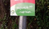 Tour Wandern Le Lorrain - 22 mai 22 Morne 22 km Lorrain  - Photo 9