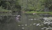 Tour Wandern Ottignies-Louvain-la-Neuve - Lauzelle - Circuit Natura 2000, des sites qui valent le détour ! - Bw01 - Photo 5