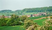 Tour Zu Fuß Mettlach - Gustav-Regler-Weg - Photo 7