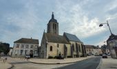 Tour Wandern Montigny-Lencoup - Boucle Montigny Lencoup - Donnemarie - Sigy  - Photo 12