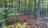 Excursión Marcha nórdica Coye-la-Forêt - Autour des Etangs - Photo 2