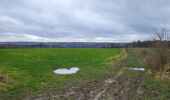 Trail Walking Wanze - Antheit 070125 - Photo 5