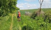 Trail Walking Pont-à-Celles - 2020-05-13 Liberchies (Viesville) 16 Km - Photo 14