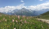 Excursión Bici de montaña La Plagne-Tarentaise - La Chapelle de Boselet - Photo 9