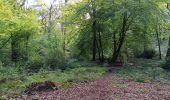 Randonnée Marche Seraing - ptit tour par les ptits chmins du bois de sraing - Photo 11