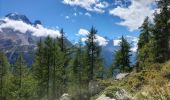 Randonnée Marche Chamonix-Mont-Blanc - TMB8 CAF 24 - Photo 8