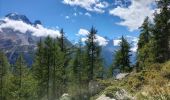 Trail Walking Chamonix-Mont-Blanc - TMB8 CAF 24 - Photo 8