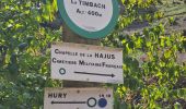 Trail Walking Sainte-Croix-aux-Mines - Le Hury par le Petit-Haut - Photo 16