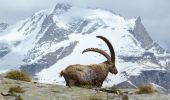 Tour Zu Fuß Valsavarenche - (SI F01) Rifugio Savoia - Rhêmes-Notre-Dame - Photo 4