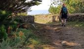 Tour Wandern Plougrescant - Le gouffre, la pointe du château à Plougrescant - Photo 15