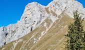 Excursión Senderismo Talloires-Montmin - Boucle Tournette  - Photo 10