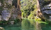 Tocht Trail Saint-Vallier-de-Thiey - descente Siagne - Photo 1