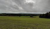 Excursión Senderismo Les Nans - la Roche des Nans - Photo 1