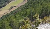 Excursión Senderismo Rivière-sur-Tarn - Puech de Fontaneilles - Photo 15