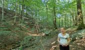 Trail Walking Spa - GrWandArdRiv 12: Spa de Barisart en Geronstère bronnen (PVDB) - Photo 13