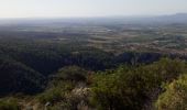 Tocht Trail Caunes-Minervois - caunes carrière 11kms - Photo 2