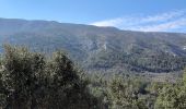 Trail Walking Vauvenargues - SAINTE VICTOIRE   VAUVENARGUES - Photo 4